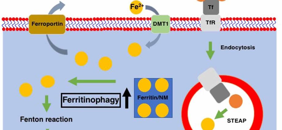 The influence of pesticides on the development of Parkinson&#8217;s disease has been confirmed