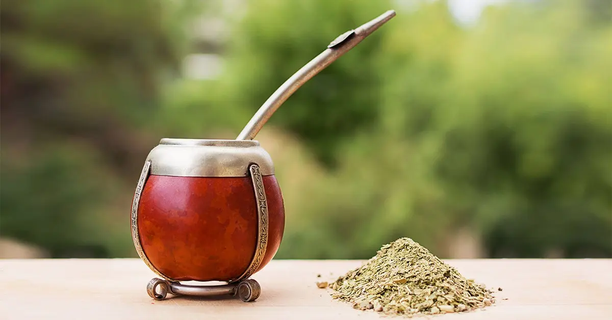 The ingredients of yerba mate have an anti-cancer effect