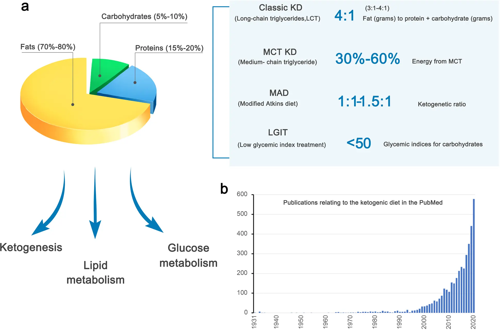 The ketogenic diet breaks records of popularity. It can negatively affect your health