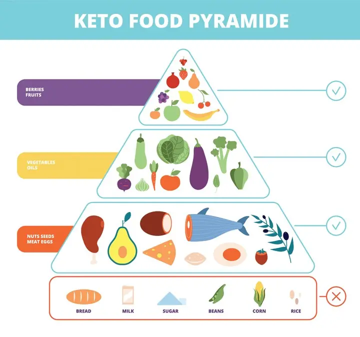 The ketogenic diet &#8211; healthy or not?