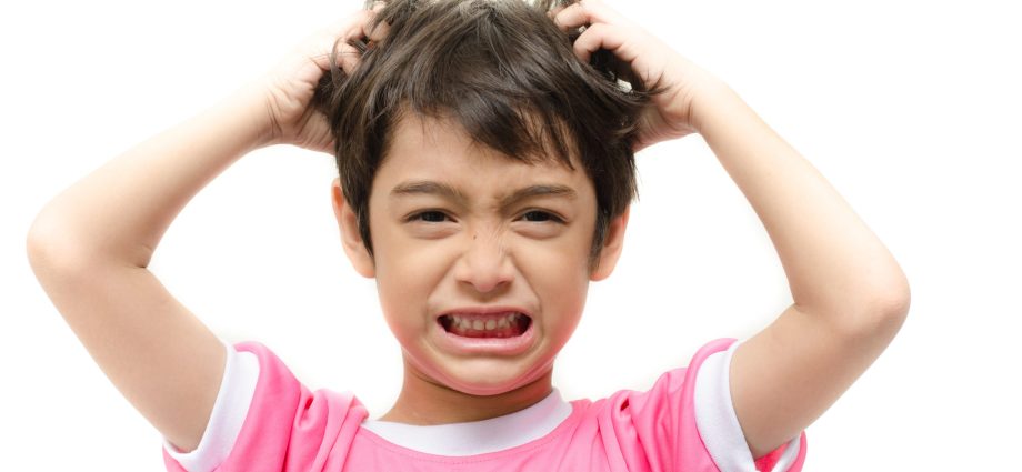 The lice season is in full swing. What to apply when your baby has head lice?