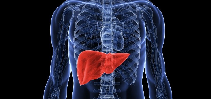 The liver does not hurt, and cancer does not give symptoms for a long time. These signs must be disturbing