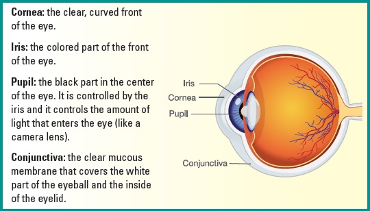 The long covid can be seen in the sick eye. Researchers: it&#8217;s about the appearance of the cornea