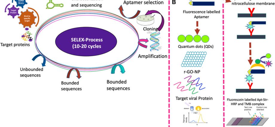 The Lublin-based company will produce a molecular test to detect coronavirus