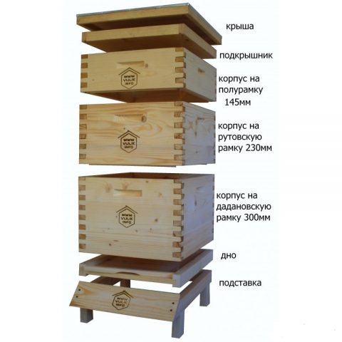 The maintenance of bees in a two-hull hive for 12 frames