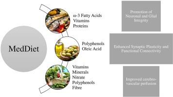 The Mediterranean diet inhibits cognitive decline