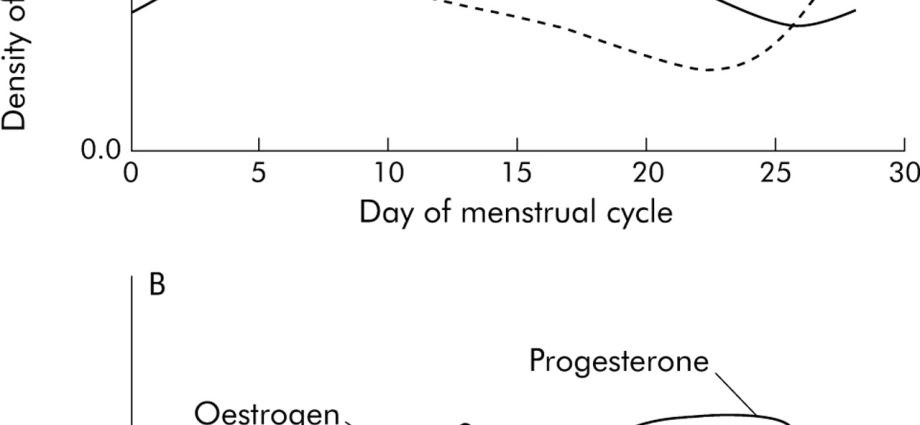 The menstrual cycle affects the course of asthma