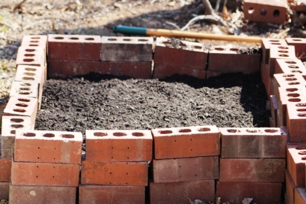 The method of growing potatoes in boxes: preparing the soil and planting material