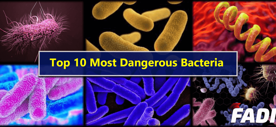 The most dangerous bacteria for children