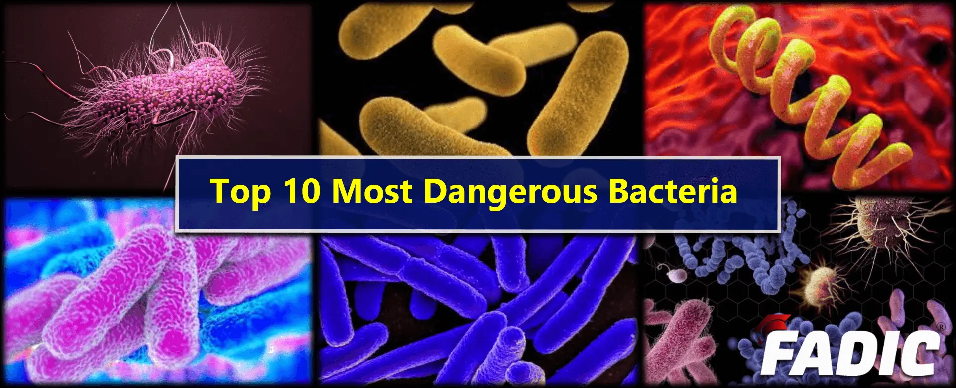 The most dangerous bacteria for children