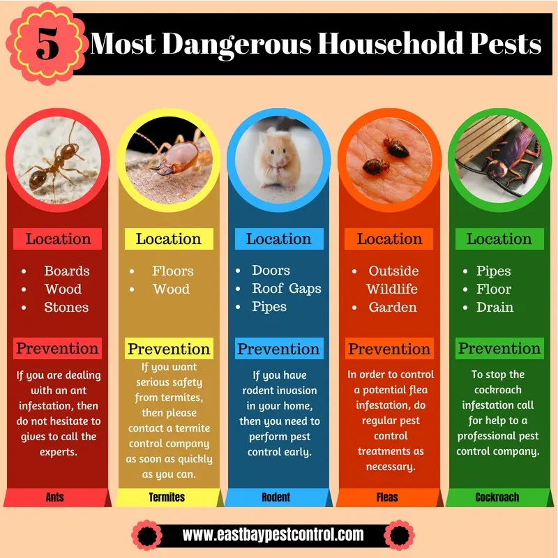 The most dangerous domestic pests