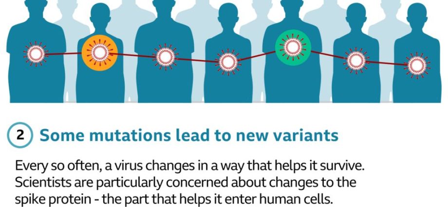 The most dangerous variants of the coronavirus. What do we know about them?