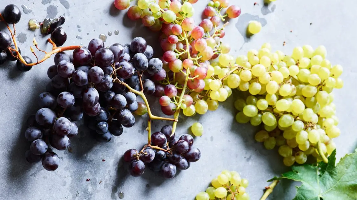 The most delicious grape varieties: description, photos, reviews