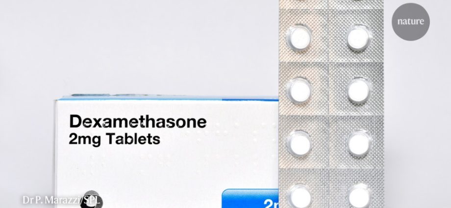 The most important information about the drug Dexamethasone