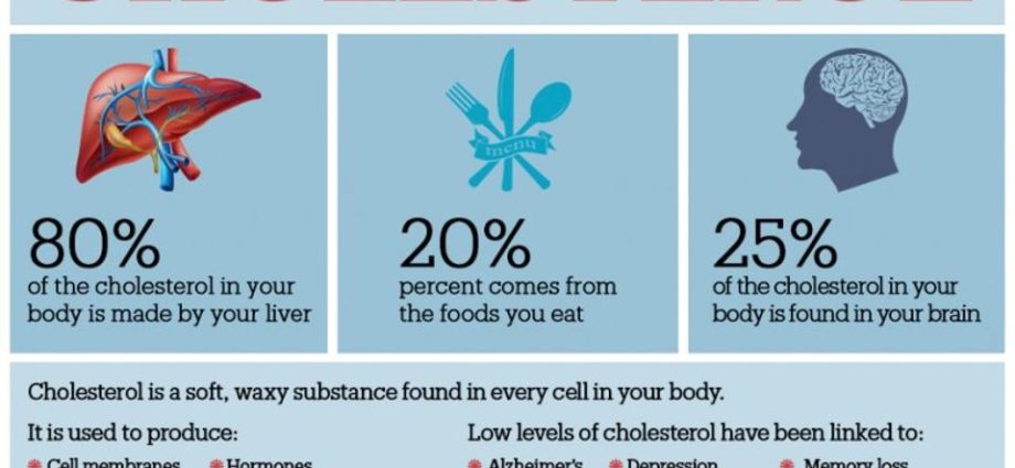 The most popular myths about cholesterol