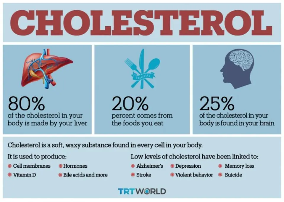 The most popular myths about cholesterol