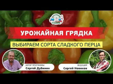 The most popular varieties of pepper