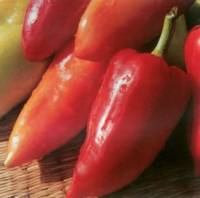 The most popular varieties of pepper