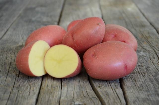 The most productive potato varieties for central Our Country