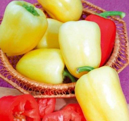 The most productive varieties of sweet pepper