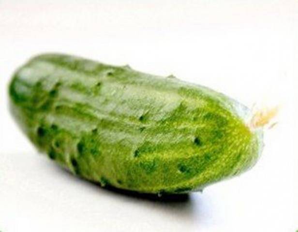 The most resistant varieties of open ground cucumbers