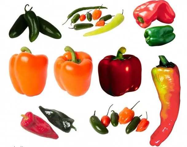 The most unpretentious varieties of peppers