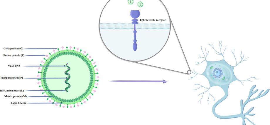 The Nipah virus can be another serious threat with epidemic potential