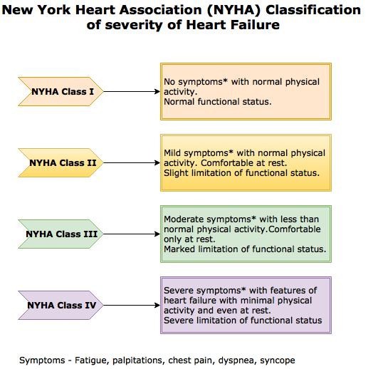 the-nyha-scale-what-is-it-and-what-is-it-for-healthy-food-near-me