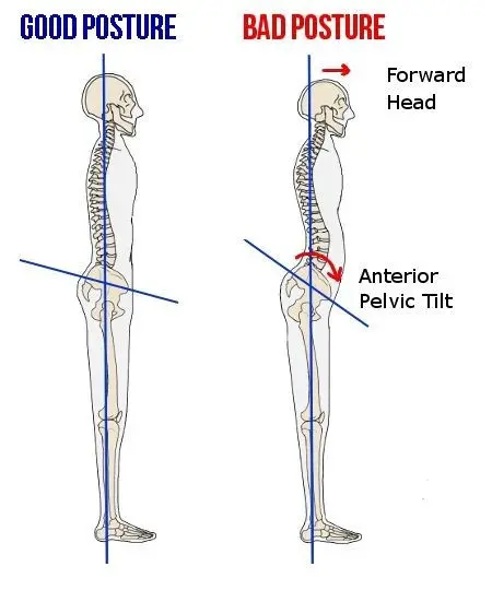 The pelvic position