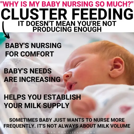 The phase of constant feeding of the newborn. How to survive cluster feeding?