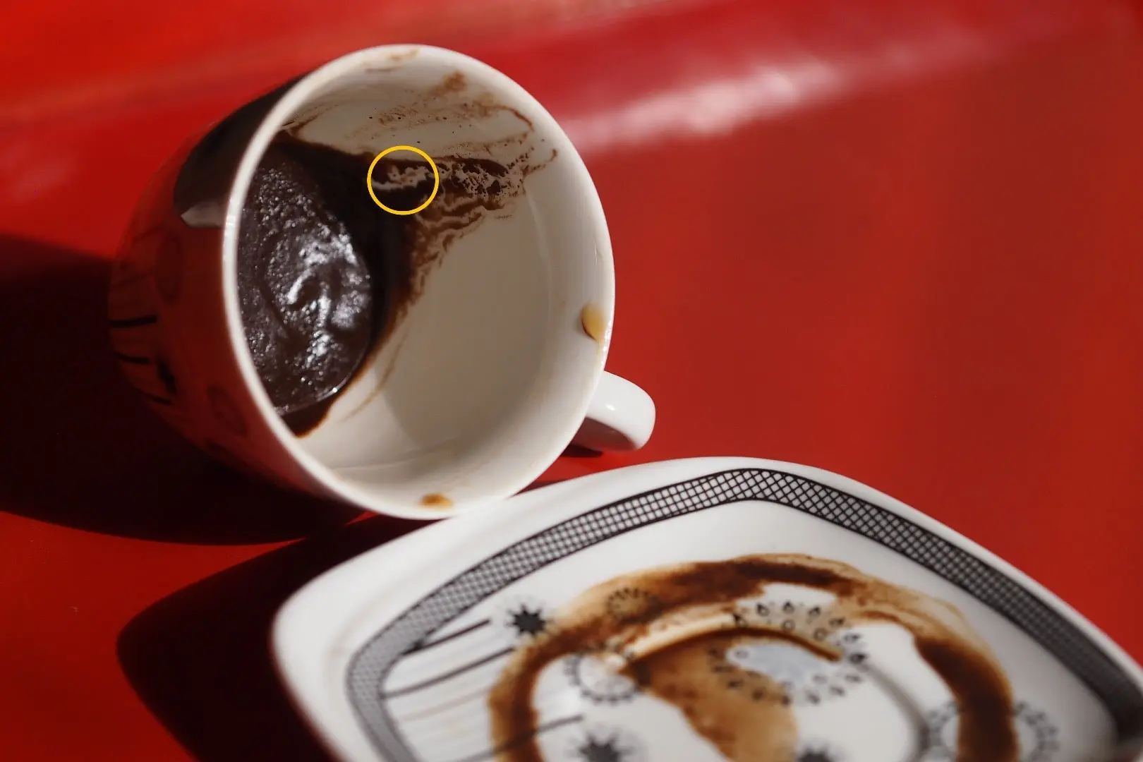 The premiere of Morawiecki fortune-telling from… coffee grounds? [COMMENT]