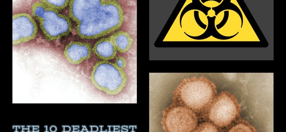 The seven most dangerous viruses in the world