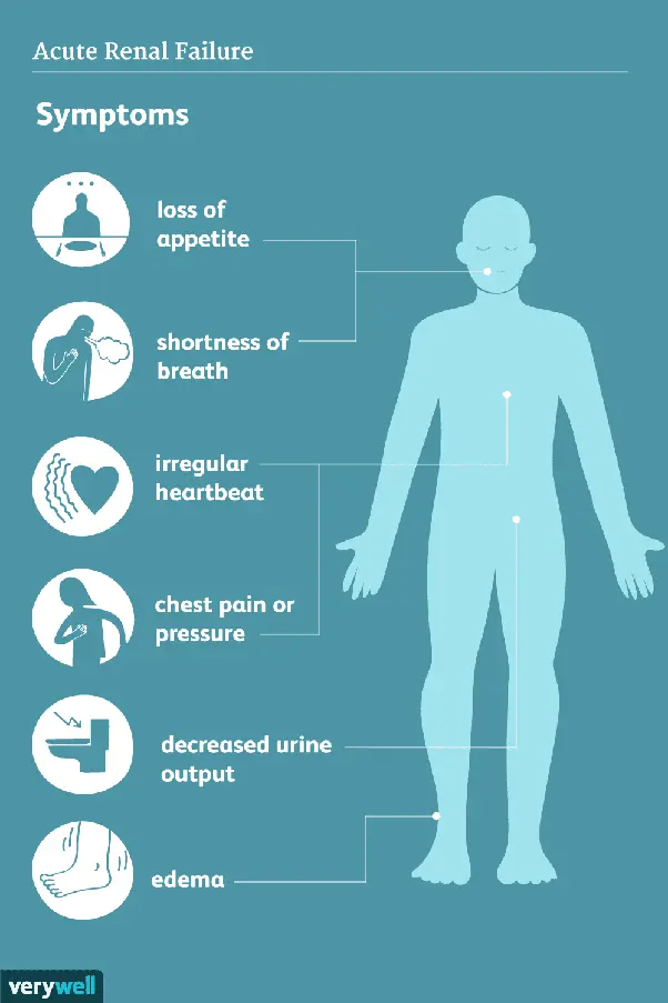 &#8220;The silent and insidious killer&#8221; who destroys our health. How is kidney failure diagnosed? [WE EXPLAIN]