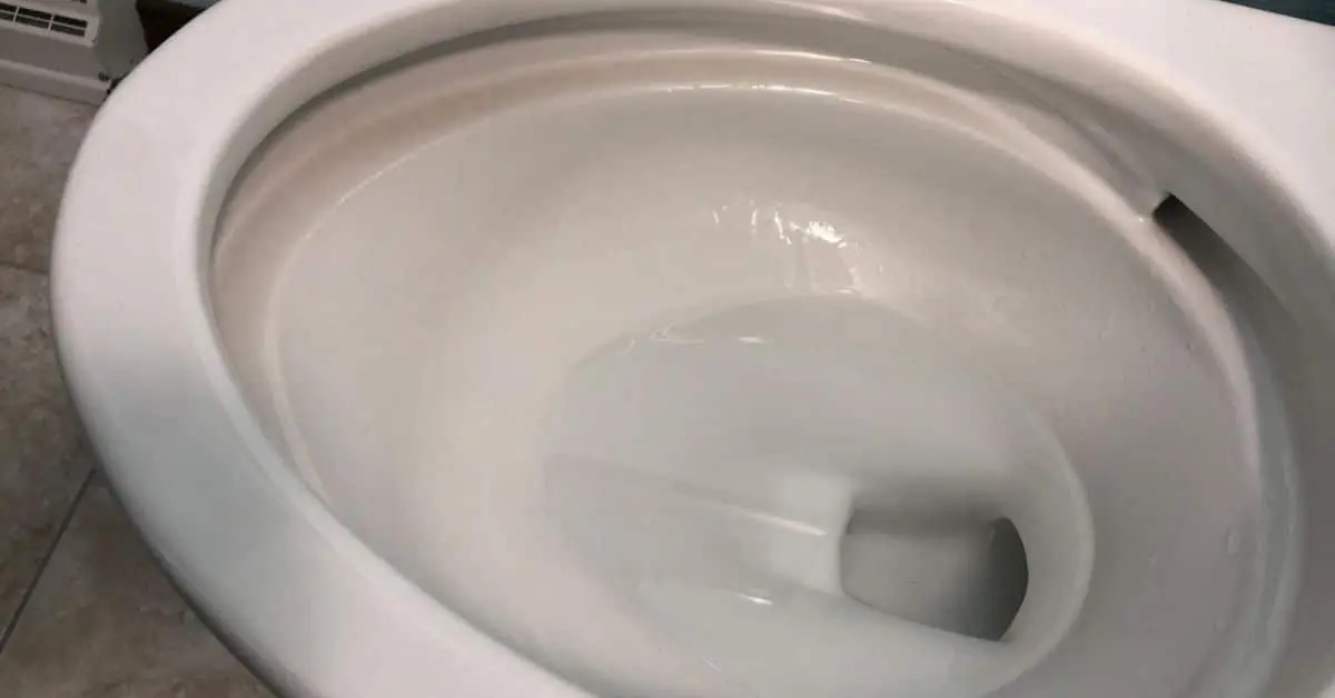 The simplest hydration test &#8211; check the toilet bowl