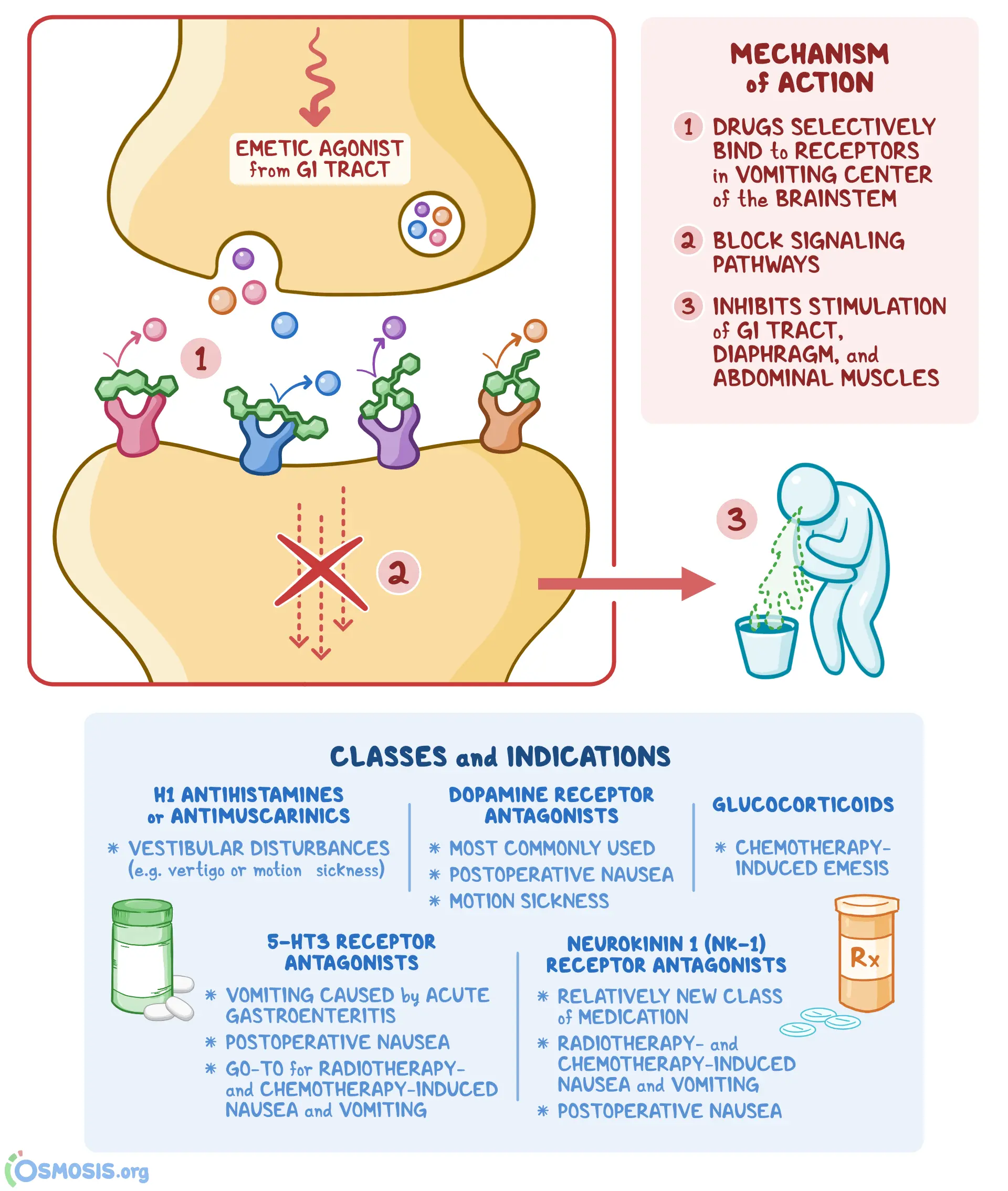 The stimulator protects against vomiting