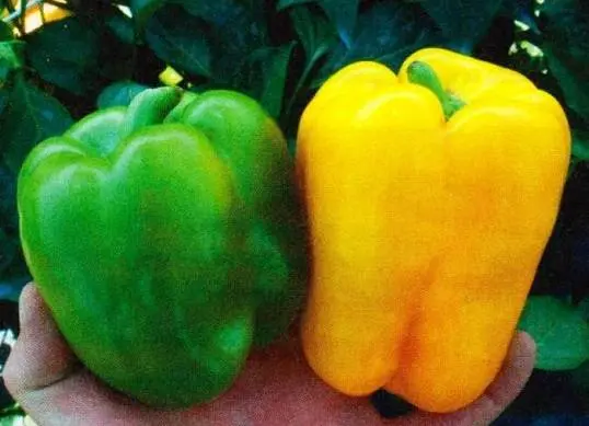 The sweetest varieties of sweet pepper