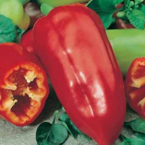 The sweetest varieties of sweet pepper