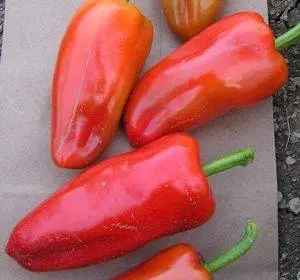 The sweetest varieties of sweet pepper