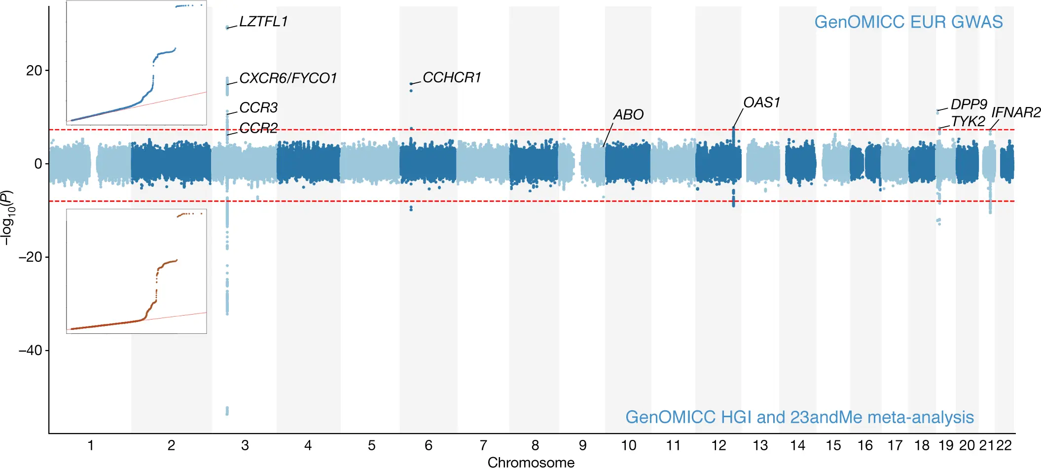 The symptoms of COVID-19 are partially dependent on genes. Research by British scientists