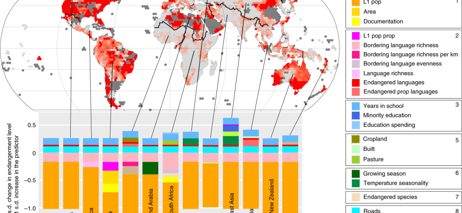 The use of many foreign languages ​​protects memory