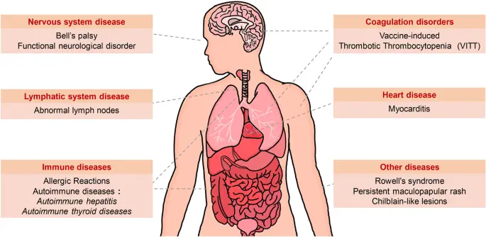 The vaccine is intended to protect against stomach ulcers and cancer