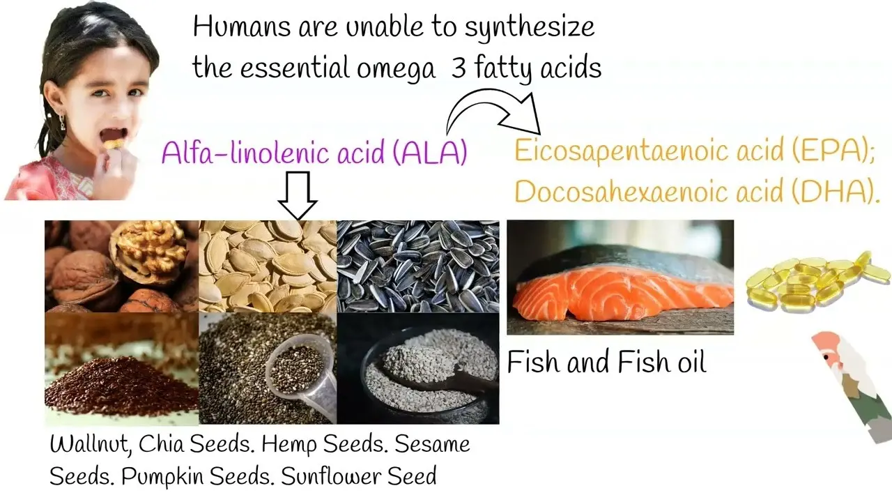 The whole truth about omega-3 acids