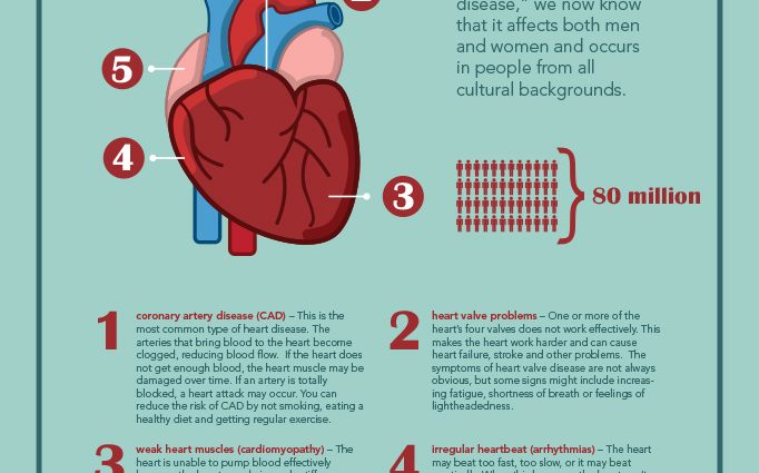 The work of the heart and its disorders. What are the most common heart diseases? [WE EXPLAIN]