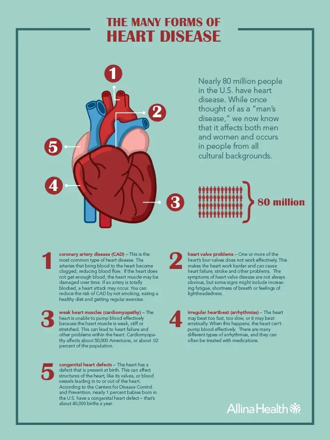 The work of the heart and its disorders. What are the most common heart diseases? [WE EXPLAIN]