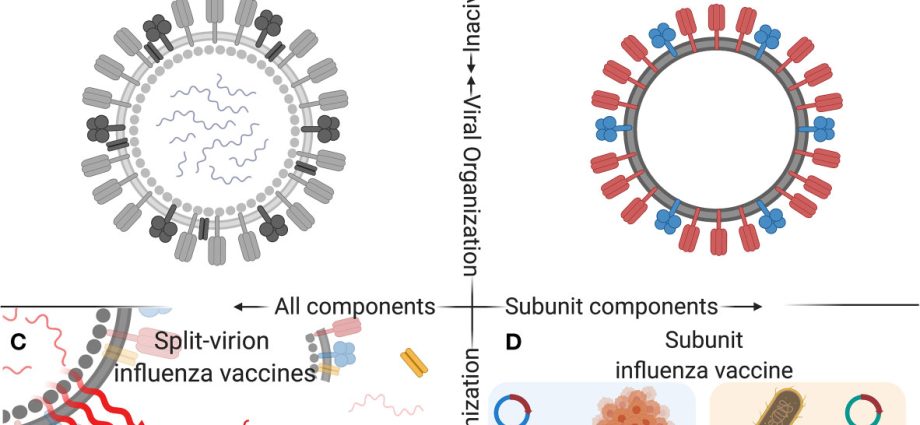 There is a huge interest in influenza vaccines due to problems with availability