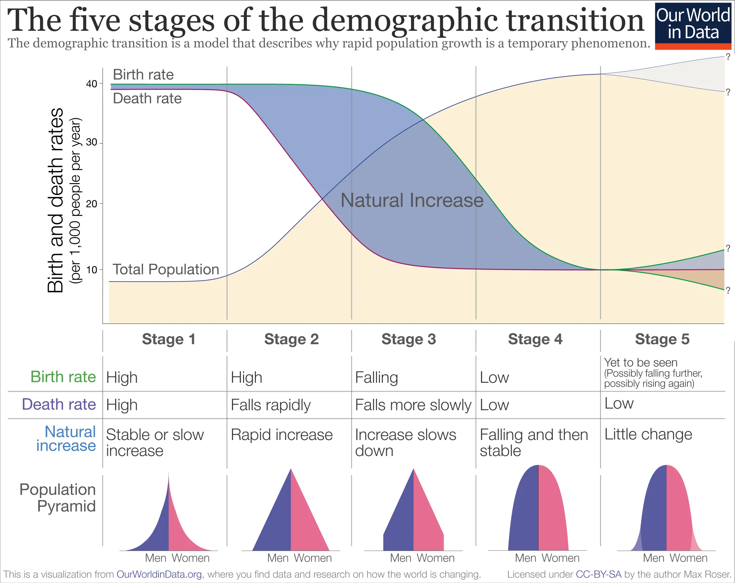 There is a kind of transition state between death and life