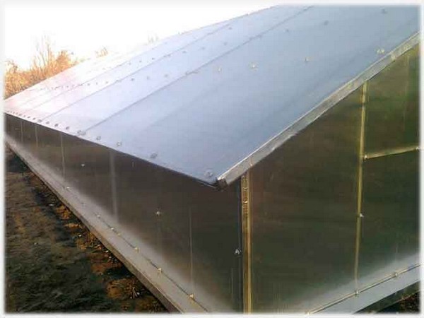 Thermos greenhouse: pros and cons of design, installation