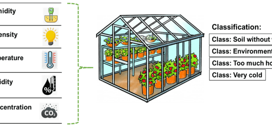 Thermos greenhouse: pros and cons of design, installation