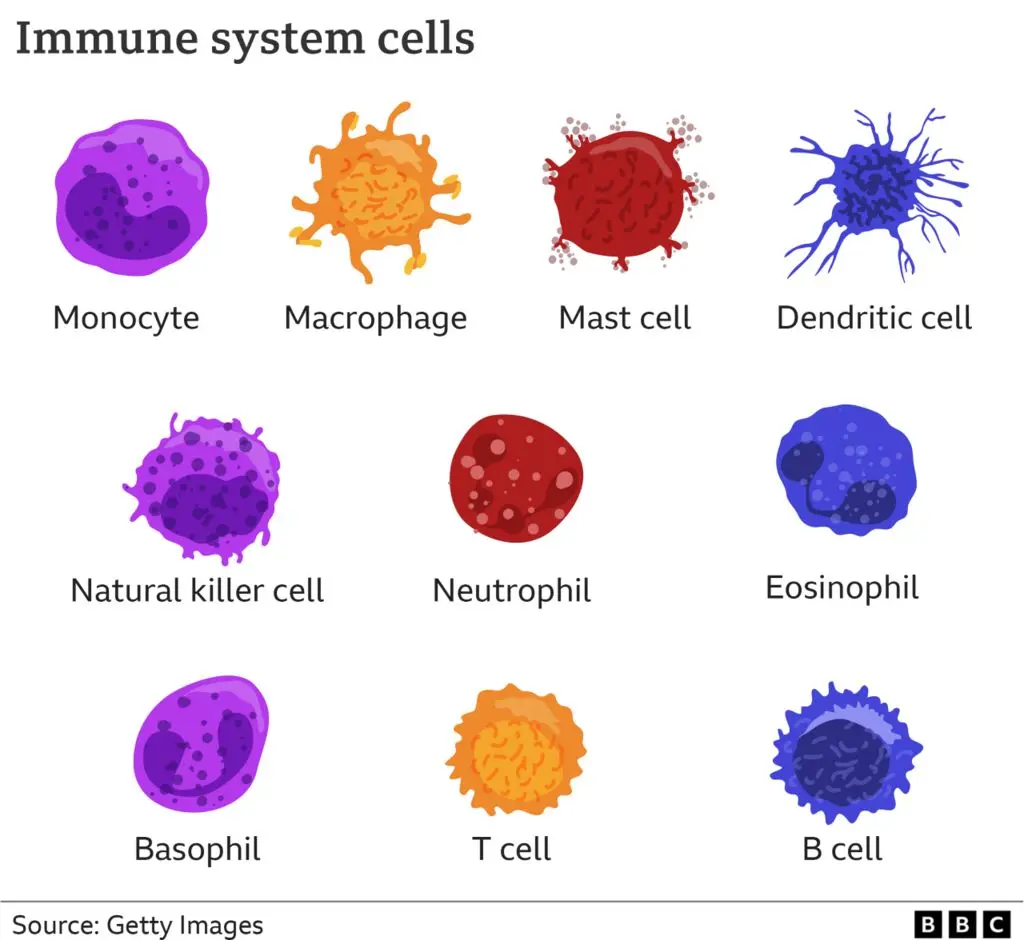 These products destroy our immunity. A cold is just waiting