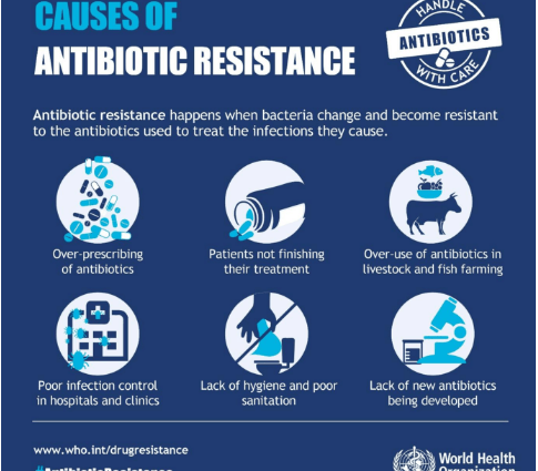 They are not affected by any antibiotics. Superbugs spread serious diseases